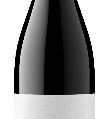 2023 Typicite Bien Nacido Pinot Noir, Santa Maria Valley