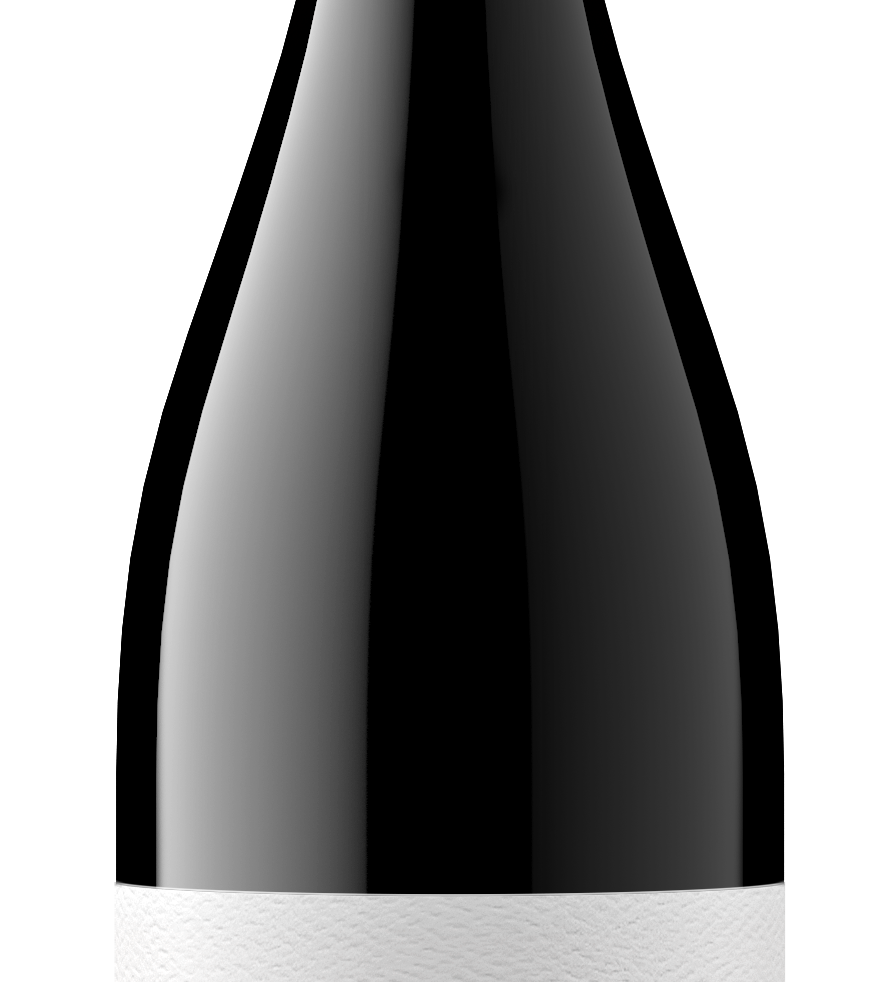 2023 Typicite Dutton Ranch Pinot Noir, Russian River Valley