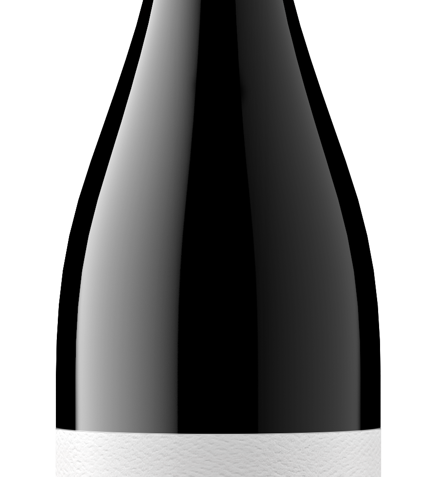 2023 Typicite Tondre Grapefield Pinot Noir, Santa Lucia Highlands