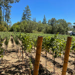 2022 Grape Culture Dualridge Cabernet Sauvignon, Howell Mountain