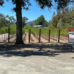 2022 Grape Culture Dualridge Cabernet Sauvignon, Howell Mountain