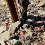 2023 Typicite Gaps Crown Pinot Noir, Sonoma Coast