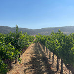 2022 Grape Culture Oakview Cabernet Sauvignon, Oakville