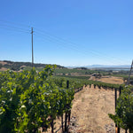 2022 Grape Culture Sugarloaf Cabernet Franc, Napa Valley