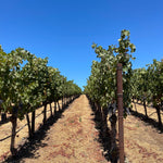 2022 Grape Culture Sugarloaf Cabernet Franc, Napa Valley