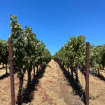 2022 Grape Culture Sugarloaf Cabernet Franc, Napa Valley