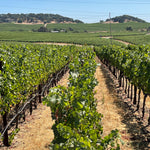 2022 Grape Culture Sugarloaf Cabernet Franc, Napa Valley