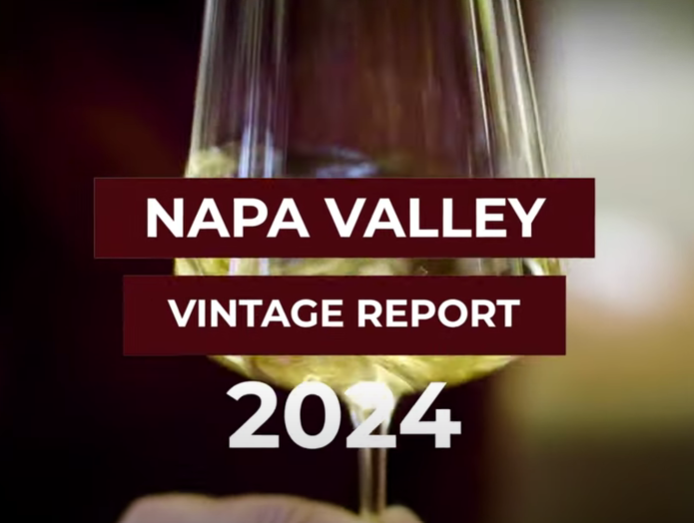 SommTV X Napa Vintners - Vintage Report 2024