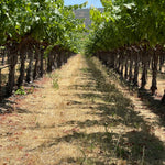 2022 Grape Culture Beckstoffer GIII Cabernet Sauvignon, Rutherford