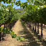 2022 Grape Culture Beckstoffer GIII Cabernet Sauvignon, Rutherford