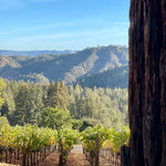 2022 Grape Culture Nosotros Cabernet Sauvignon, Mt. Veeder