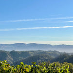 2022 Grape Culture Nosotros Cabernet Sauvignon, Mt. Veeder