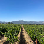 2022 Grape Culture Oakview Cabernet Sauvignon, Oakville