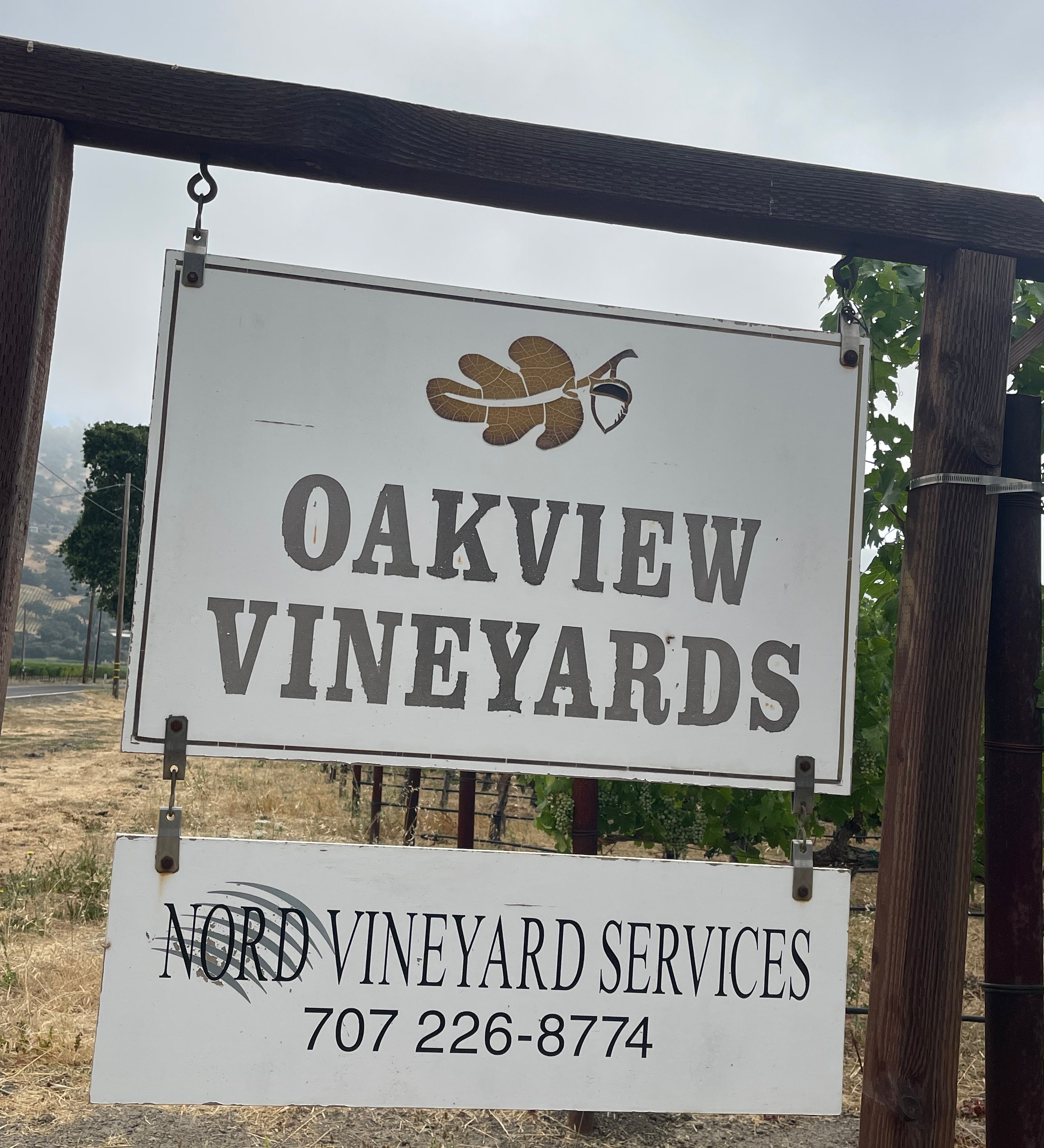 2022 Grape Culture Oakview Cabernet Sauvignon, Oakville