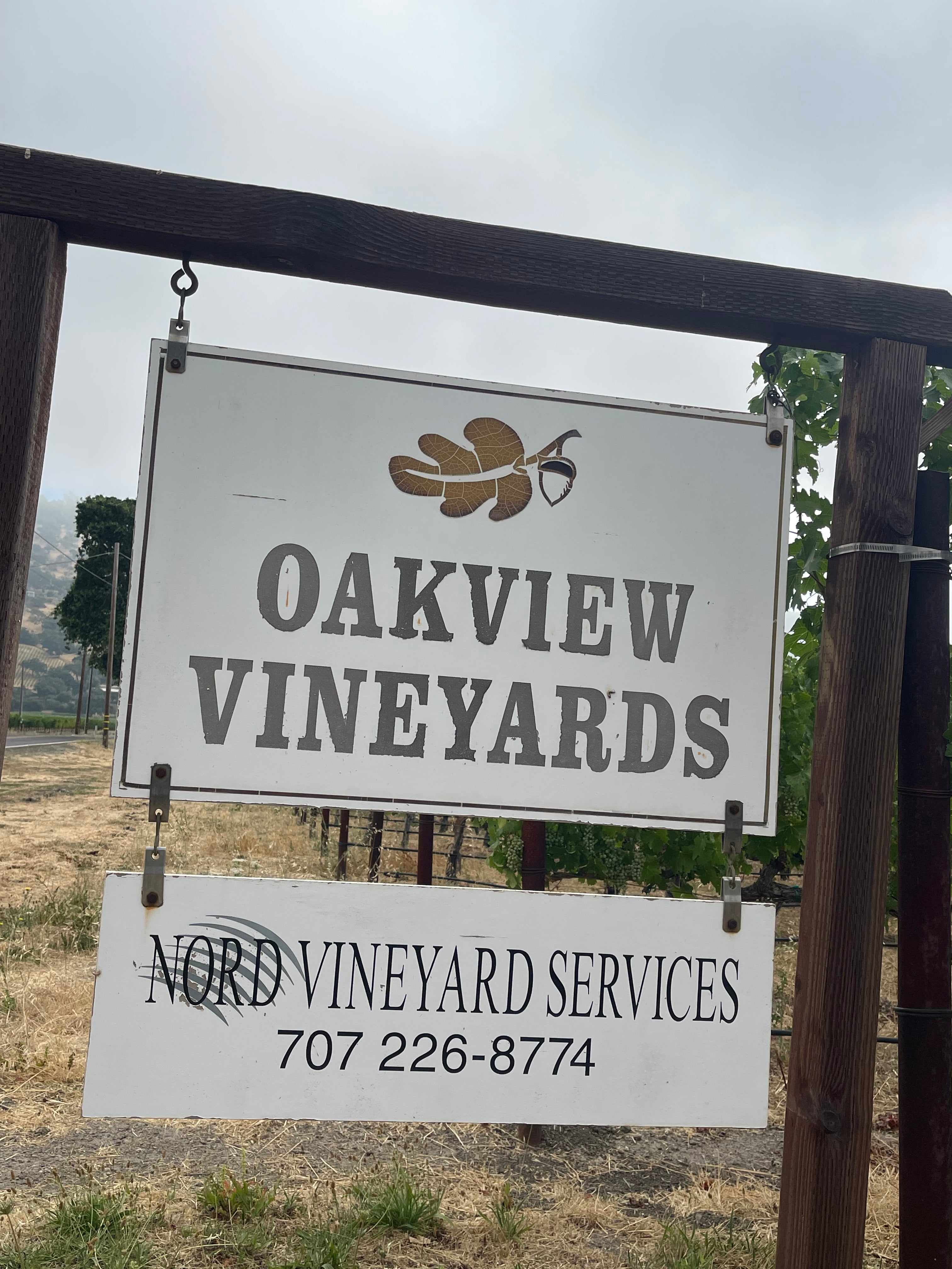 2022 Grape Culture Oakview Cabernet Sauvignon, Oakville