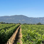 2022 Grape Culture Oakview Cabernet Sauvignon, Oakville