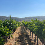 2022 Grape Culture Oakview Cabernet Sauvignon, Oakville